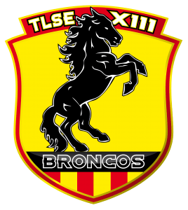 TLSE_logo broncos 2010_PRINT-01