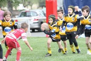 484693 315380615254296 2147050573 n - Championnat