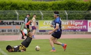 pavois du tarn 2015 4 - breves