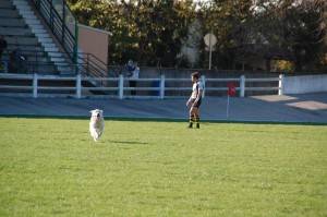 12183807 1127087773987525 4280397307362095218 o - insolites