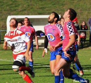 aussonne mirepoix villalba 1 - Nicolaïte