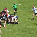 stade toulousain montpellier rugbyamateur (1)