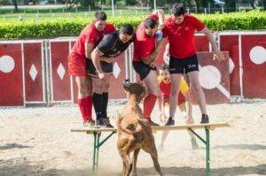 lezat 5 e1465393423708 - Top 14