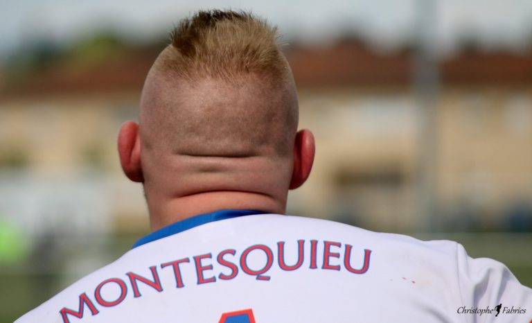 montesquieu - gimontoise