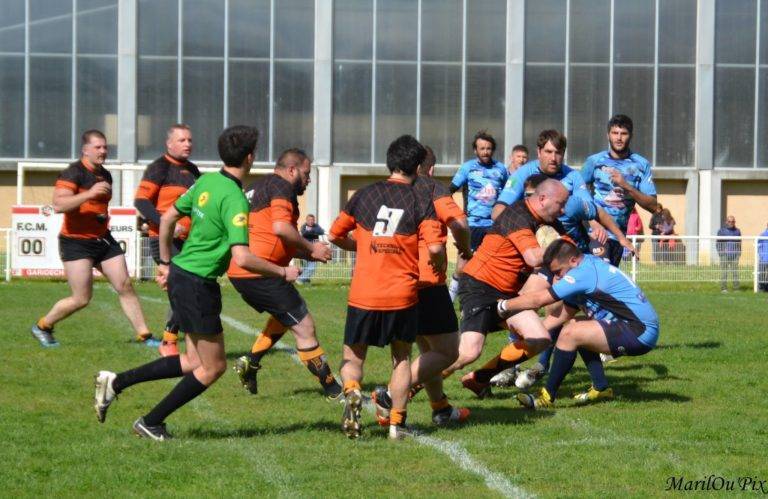montastruc xv de la save (2)