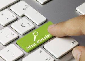 recherche emploi web petites annonces generique