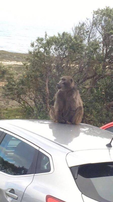 Saint girons 2017 afrique du sud (12)
