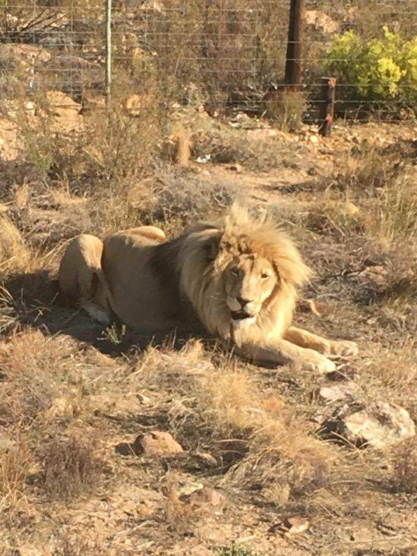 Saint girons 2017 afrique du sud (33)