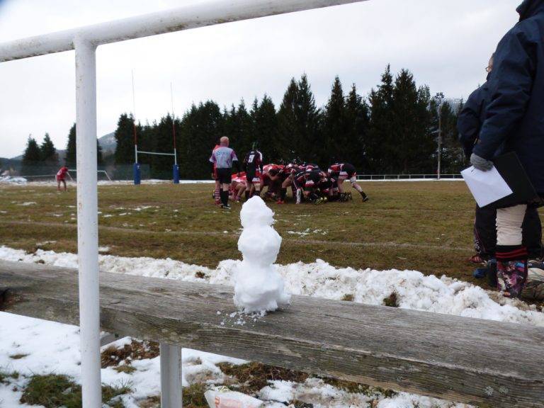plateua de sault sainte croix 12 17 neige (6)
