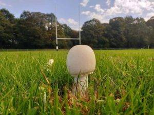 merci PEC pour ce joli cliché pris avant le match entre le C A Orgnac et le Rugby Club l'Aurence Limoges