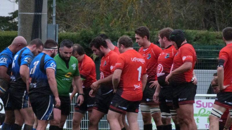 Tournefeuiile Saudrune