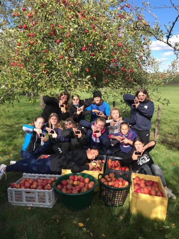 les cadettes de Nancy seichamps ont fait une operation ramassage de pommes bio pour faire du jus et financer un voyage de fin dannee 1 - selfies