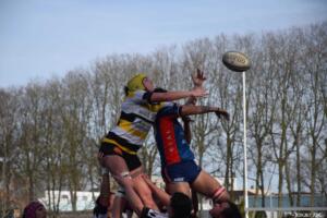 (crédits Jeremy VdC)