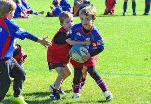 Ecoles de rugby : gratuité des licences à compter du 1er avril prochain