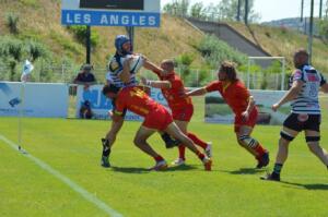 Dombes 6