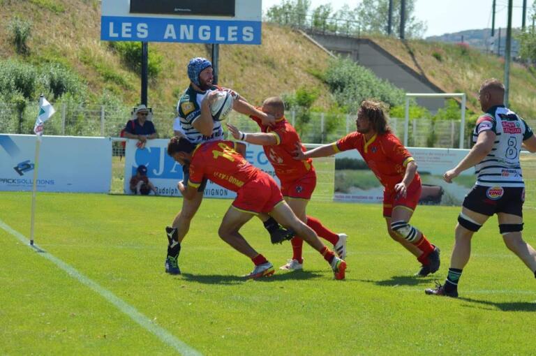 Dombes 6