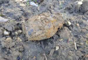 decouverte grenades photo dr 1552501649