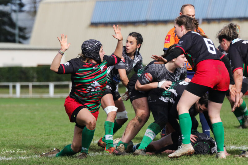Rass. SCB SCG Carmaux ©Christophe Fabriès RugbyAmateur) (6)