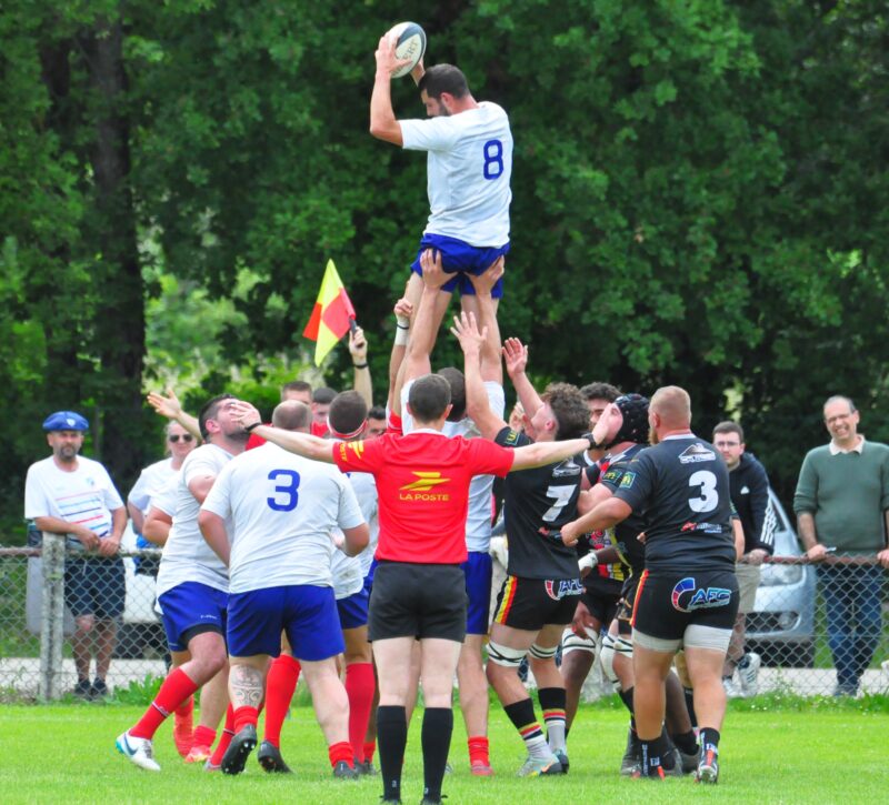 DSC_0593