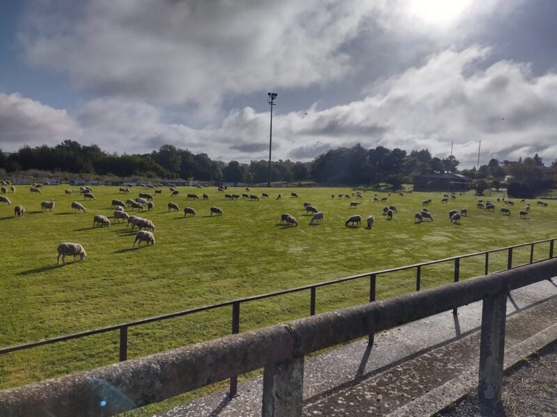Reportage : François-Xavier Branthomme, l'art de remettre l'église, et le rugby, au centre du village, à Montestruc-sur-Gers