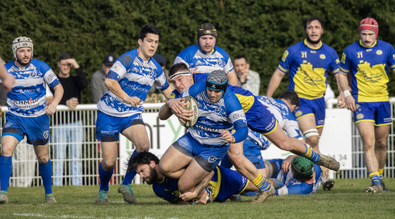 Fédérale 3 - Tournefeuille - Salvetat Plaisance, le derby a tenu ses promesses
