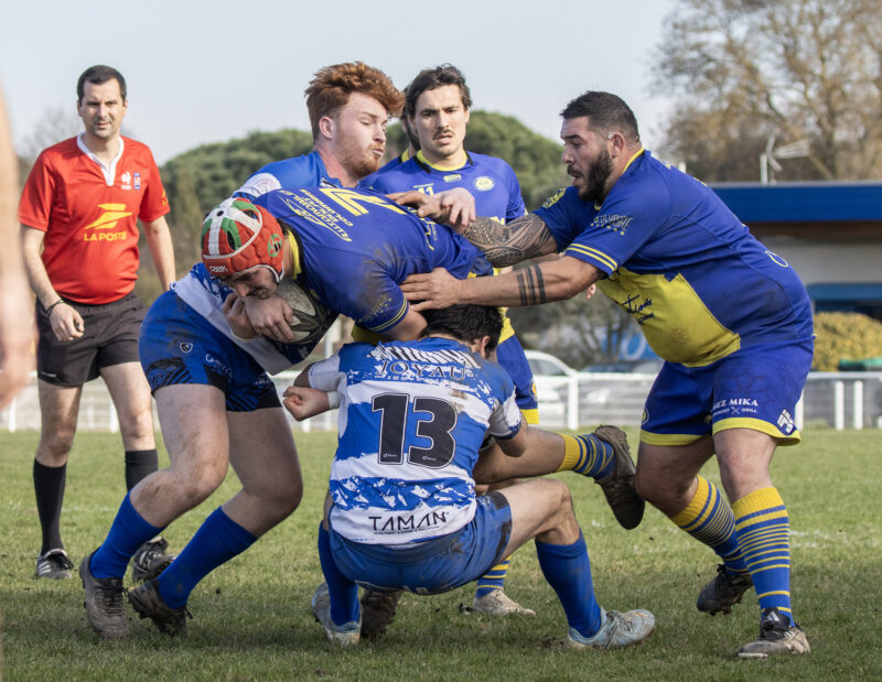 Fédérale 3 - Tournefeuille - Salvetat Plaisance, le derby a tenu ses promesses