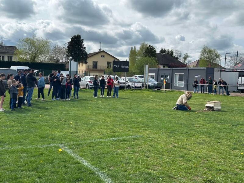 Insolite : ruche hour et essaim refusé en plein match