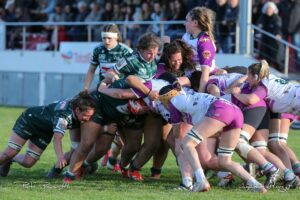 491292542 1175504174361913 8250750559276331779 n - Elite 2, demi-finalistes, Toulon, Lons Section paloise, AS Bayonnais
