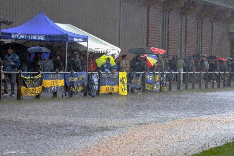 Finale Régionale 2 Occitanie : Ô rage pour Lisle-sur-Tarn, Ô printemps "Fleury" pour l'EFSC