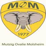 MUTZIG OVALIE MOLSHEIM