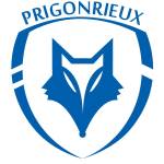 R C PRIGONTIN