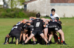 54771151540 37ca4eafc3 c - programme, rugby, nouvelle-aquitaine, régionale