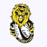 RUGBY EN FETE MONTREUIL AUX LIONS