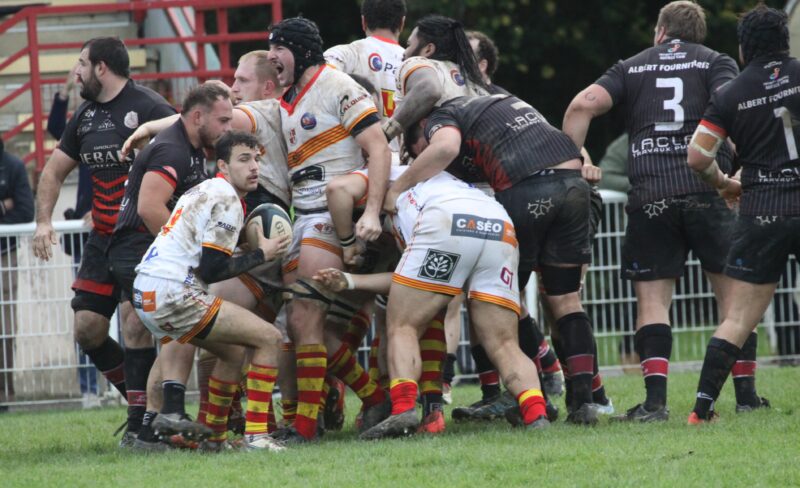 Fédérale 1 : L'Isle-Jourdain enchaine face à un Gaillac à réaction