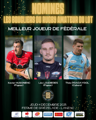 JOUEURS FED - Queyrannais, villeneuve de marsan, match arrêté, cartons rouges