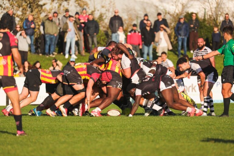 Melee gros combat - Belgique, Régionale 2, coupe du monde, Diables Noirs