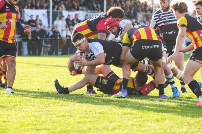 Niobe - Angers,Le Mans,Fédérale 3,derby,ligérien