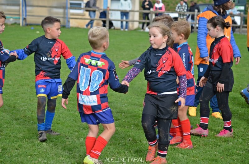 Fédération Française de Rugby : vers une libéralisation de la pratique pour les écoles de rugby
