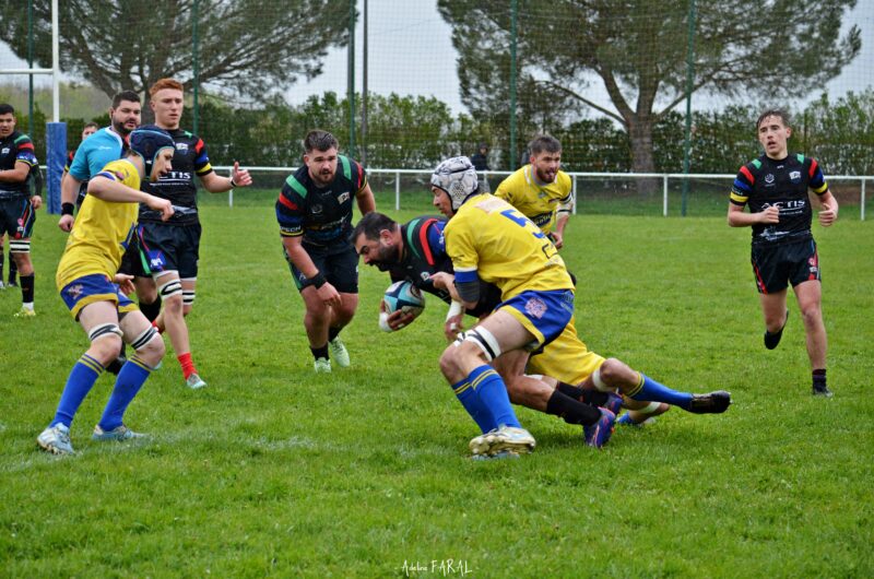 DSC 0021 - pays d'olmes,sidobre,réserves
