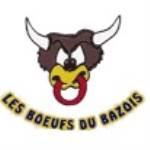 C S BAZOIS RUGBY