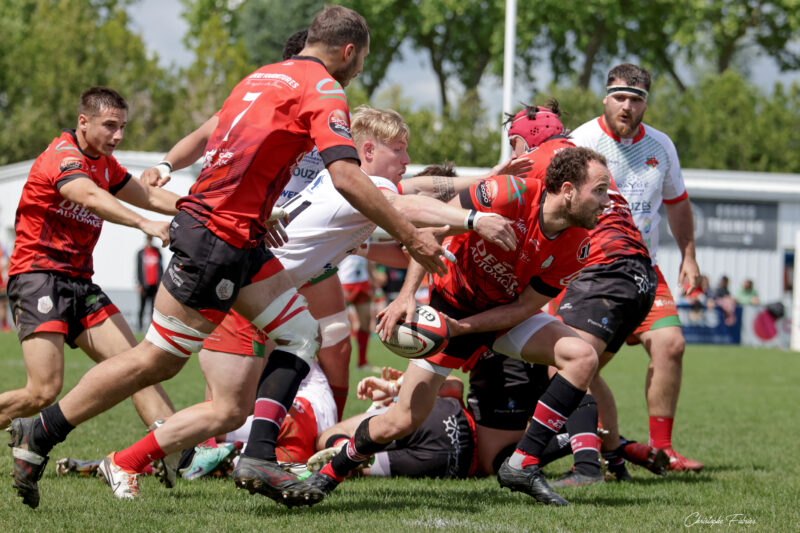 Fédérale 1 - Gaillac met un point d'honneur à s'imposer devant Saint-Sulpice