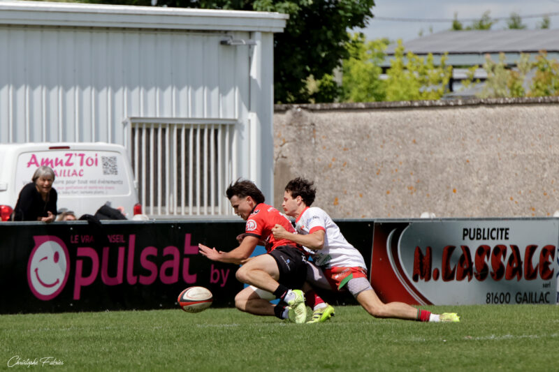 Fédérale 1 - Gaillac met un point d'honneur à s'imposer devant Saint-Sulpice