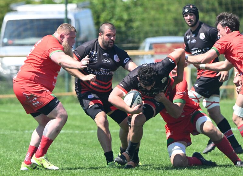 Fédérale 1 : Saint-Sulpice ne vendange pas face à Gaillac et tient enfin sa demi-finale