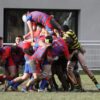Occitanie : les poules 2026-2027 de Régionale 2 officialisées par la Ligue