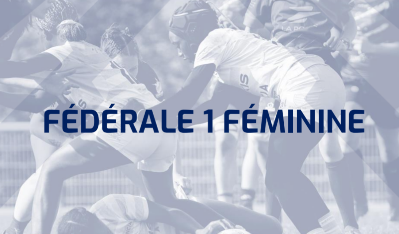Fédérale 1 et 2 Féminine : clubs en lice, formats, phases finales... tout ce qu’il faut savoir sur la saison 2026-2027