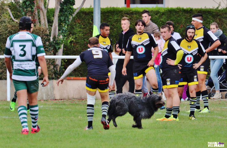 dog dog - TOPLESS, journée mondiale, PHOTOS, à poil, laisse