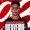 Élite 1 Féminine : Amandine Buchard franchit un nouveau cap et rejoint Bobigny