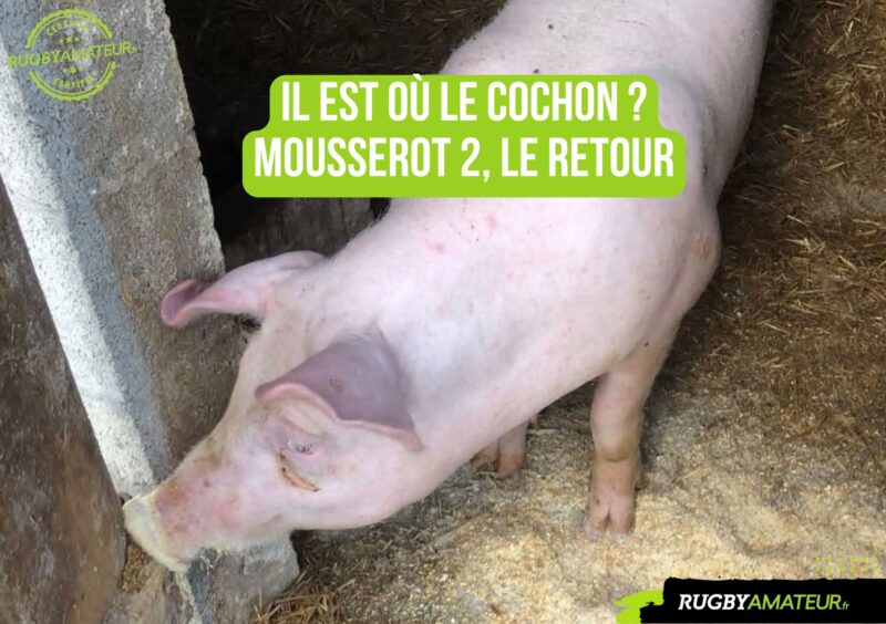 Carnets de croûte : Herm, le retour du cochon pour une tradition bien ficelée