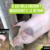 Carnets de croûte : Herm, le retour du cochon pour une tradition bien ficelée