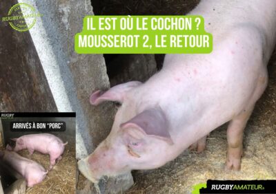 Carnets de croûte : Herm, le retour du cochon pour une tradition bien ficelée